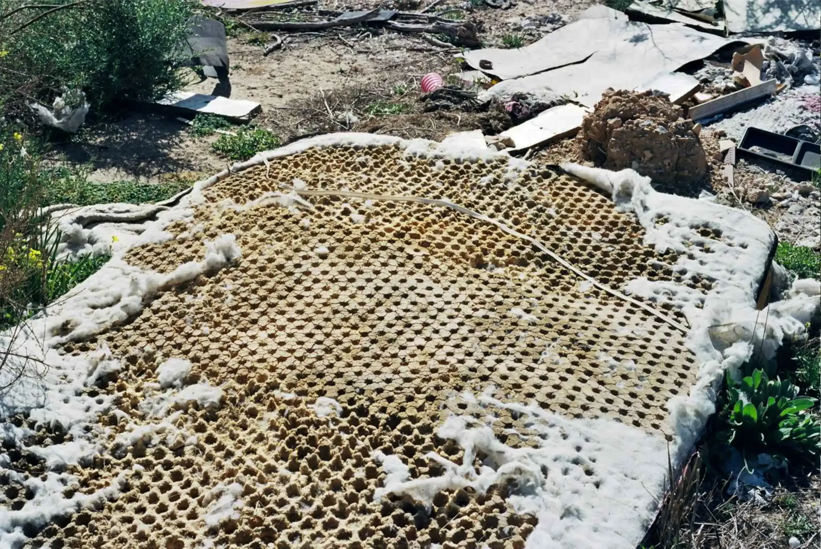 Habitar los espacios
